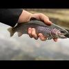 vaflyfishing